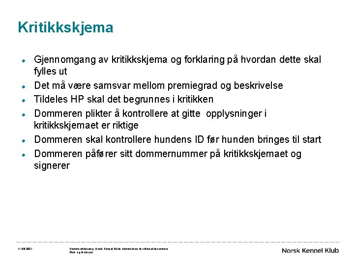 Kritikkskjema 11. 06. 2021 Gjennomgang av kritikkskjema og forklaring på hvordan dette skal fylles