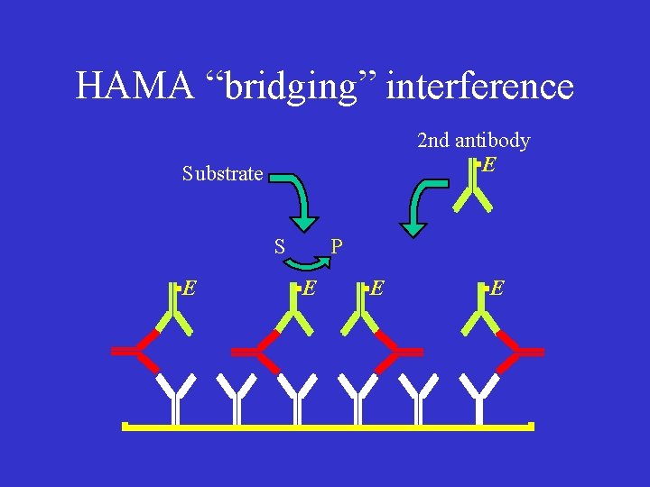 HAMA “bridging” interference 2 nd antibody E Substrate S E P E E E