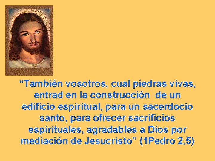 “También vosotros, cual piedras vivas, entrad en la construcción de un edificio espiritual, para