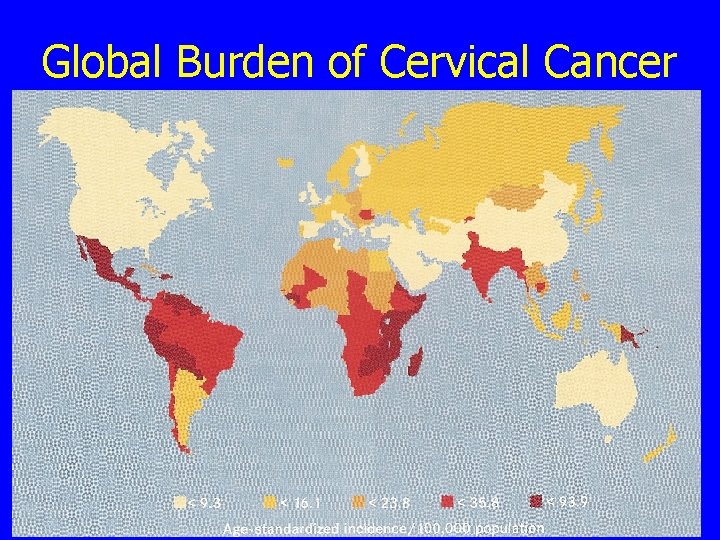 Global Burden of Cervical Cancer 