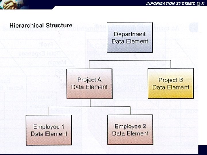 INFORMATION SYSTEMS @ X INFO 425: Systems Design 