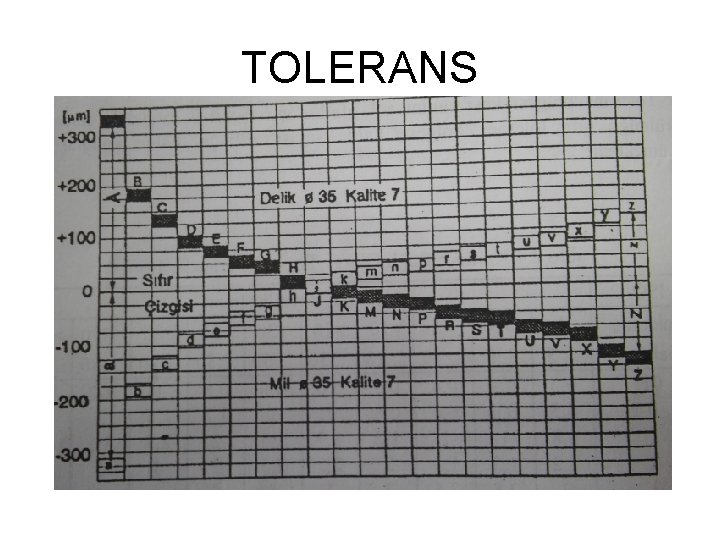 TOLERANS 