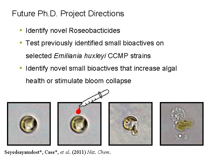 Future Ph. D. Project Directions • Identify novel Roseobacticides • Test previously identified small