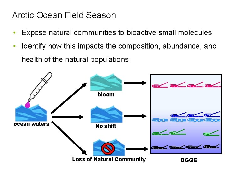 Arctic Ocean Field Season • Expose natural communities to bioactive small molecules • Identify