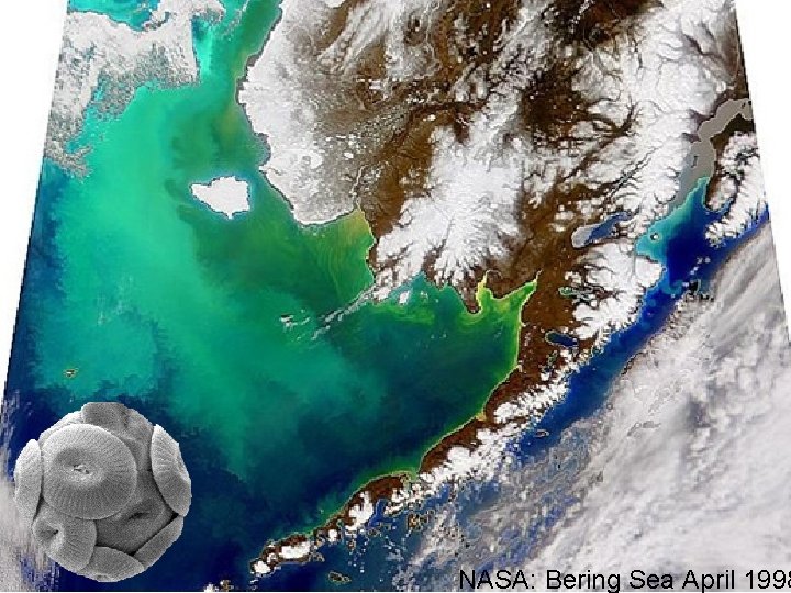 NASA: Bering Sea April 1998 