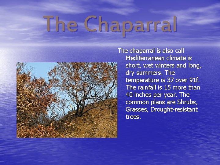 The Chaparral The chaparral is also call Mediterranean climate is short, wet winters and
