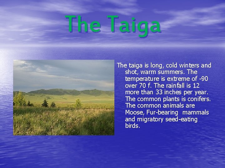 The Taiga The taiga is long, cold winters and shot, warm summers. The temperature