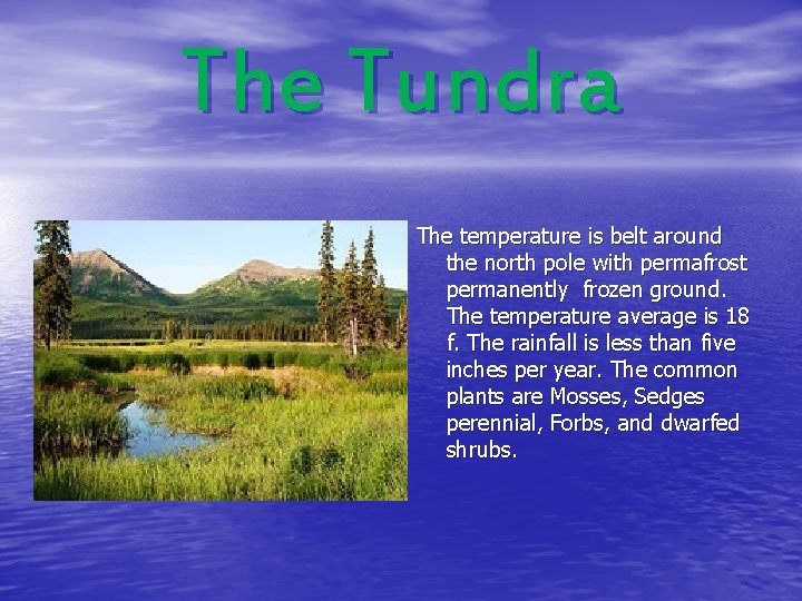 The Tundra The temperature is belt around the north pole with permafrost permanently frozen