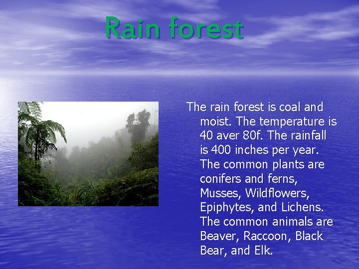 Rain forest The rain forest is coal and moist. The temperature is 40 aver