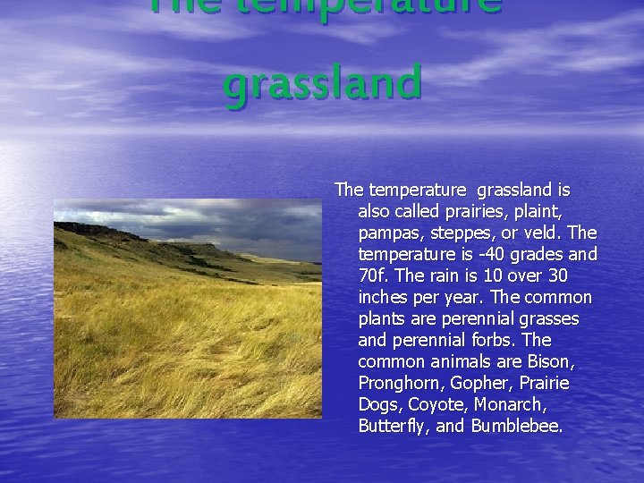 The temperature grassland is also called prairies, plaint, pampas, steppes, or veld. The temperature