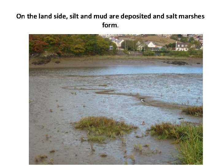 On the land side, silt and mud are deposited and salt marshes form. 