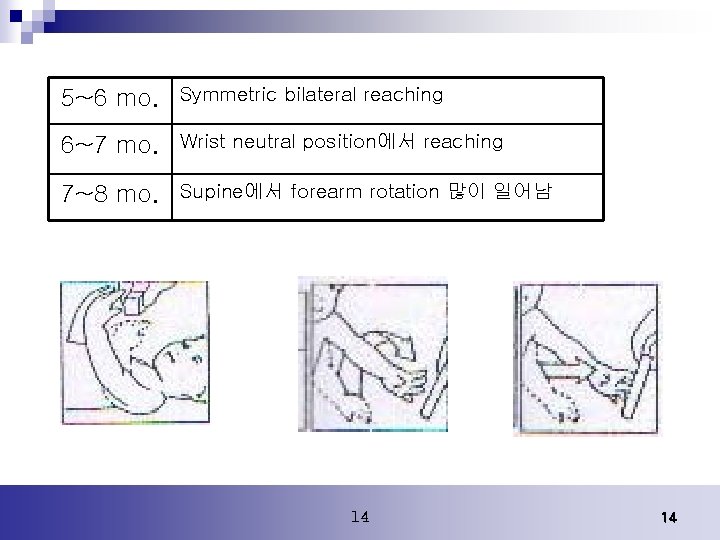 5~6 mo. Symmetric bilateral reaching 6~7 mo. Wrist neutral position에서 reaching 7~8 mo. Supine에서