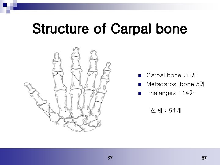 Structure of Carpal bone n n n Carpal bone : 8개 Metacarpal bone: 5개 Structure of Carpal bone n n n Carpal bone : 8개 Metacarpal bone: 5개