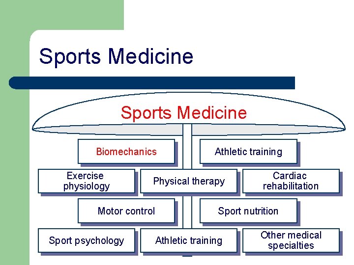 Sports Medicine Biomechanics Exercise physiology Physical therapy Motor control Sport psychology Athletic training Cardiac