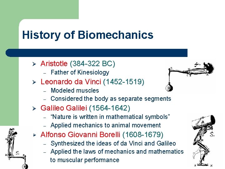 History of Biomechanics Ø Aristotle (384 -322 BC) – Ø Leonardo da Vinci (1452