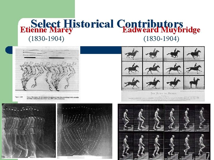 Select Historical Contributors Etienne Marey Eadweard Muybridge (1830 -1904) 