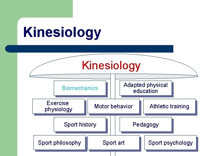 Kinesiology Biomechanics Exercise physiology Adapted physical education Motor behavior Sport history Sport philosophy Athletic