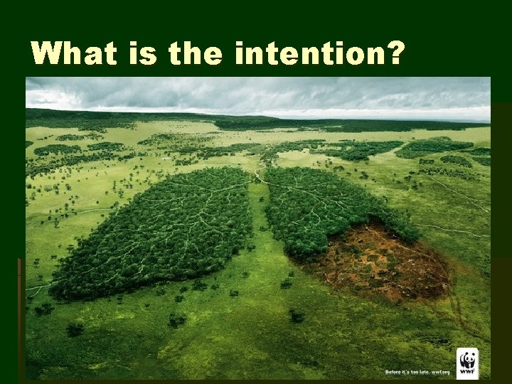 What is the intention? 