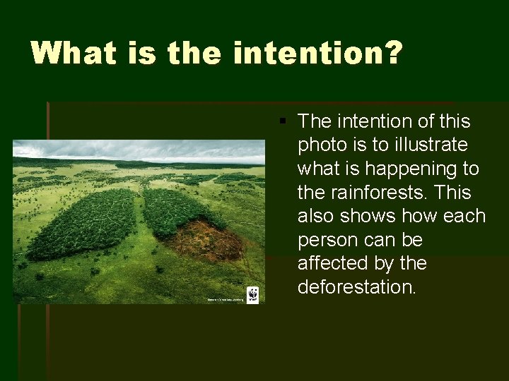 What is the intention? § The intention of this photo is to illustrate what