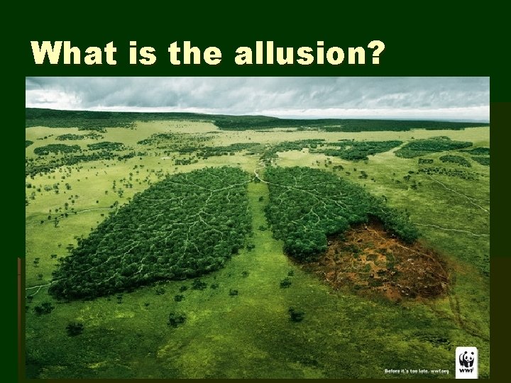 What is the allusion? 