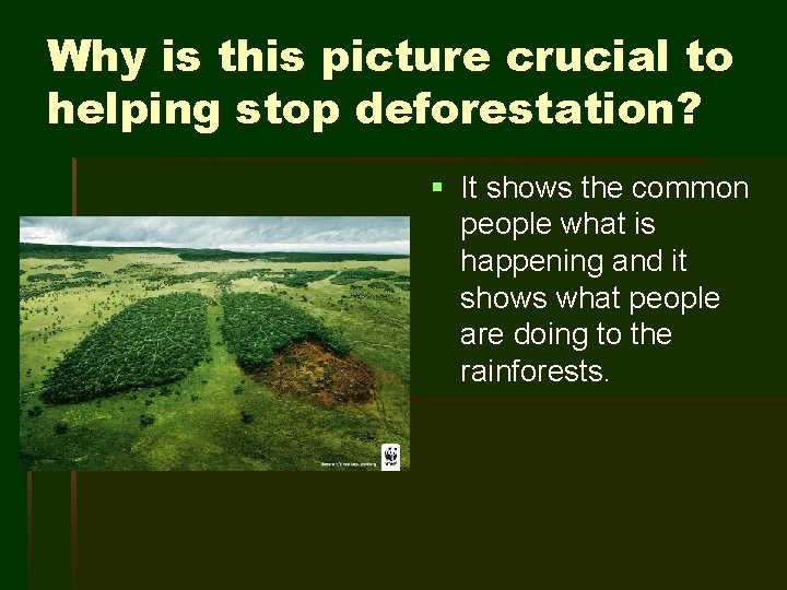 Why is this picture crucial to helping stop deforestation? § It shows the common