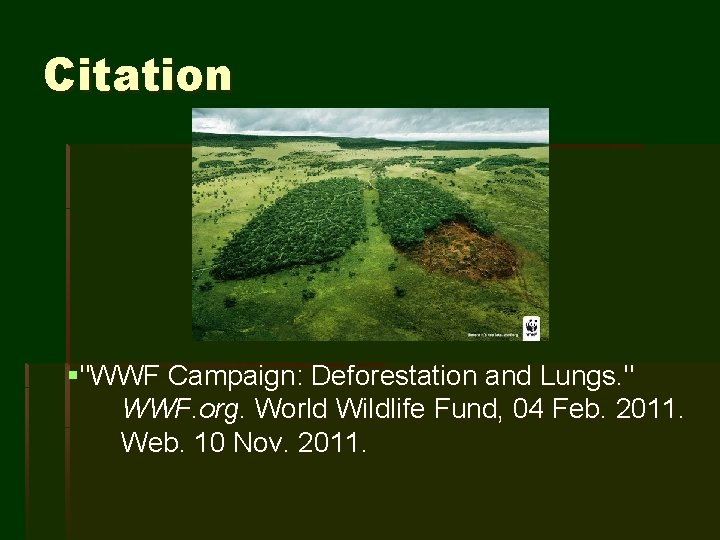 Citation §"WWF Campaign: Deforestation and Lungs. " WWF. org. World Wildlife Fund, 04 Feb.