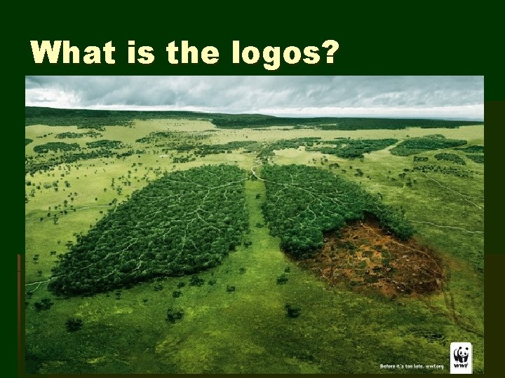 What is the logos? 