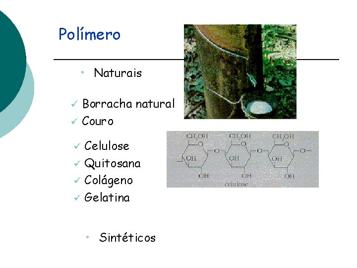 Polímero • Naturais Borracha natural ü Couro ü Celulose ü Quitosana ü Colágeno ü