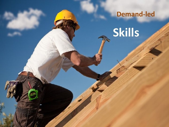 Demand-led Skills 