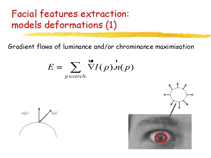 Facial features extraction: models deformations (1) Gradient flows of luminance and/or chrominance maximisation n(p)