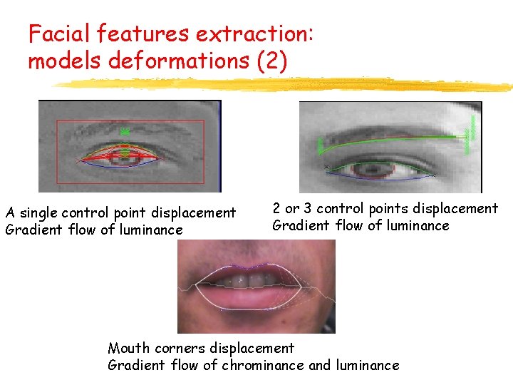 Facial features extraction: models deformations (2) A single control point displacement Gradient flow of