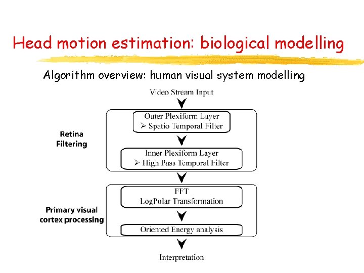 Head motion estimation: biological modelling Algorithm overview: human visual system modelling 