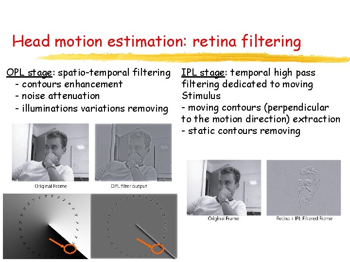 Head motion estimation: retina filtering OPL stage: spatio-temporal filtering - contours enhancement - noise