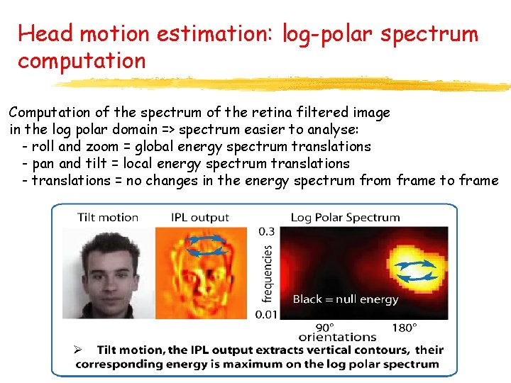 Head motion estimation: log-polar spectrum computation Computation of the spectrum of the retina filtered