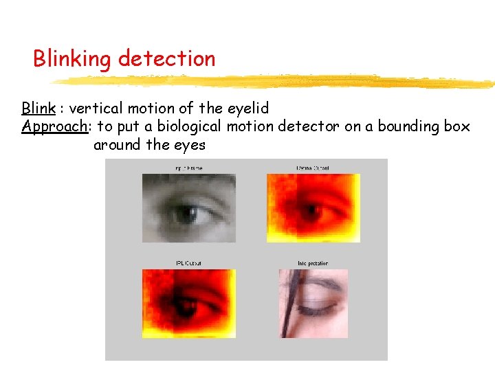 Blinking detection Blink : vertical motion of the eyelid Approach: to put a biological