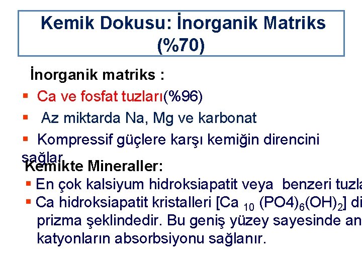 Kemik Dokusu: İnorganik Matriks (%70) İnorganik matriks : § Ca ve fosfat tuzları(%96) §