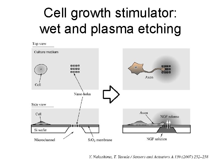 Cell growth stimulator: wet and plasma etching 