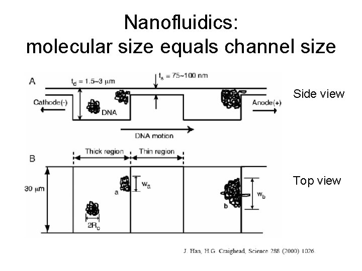 Nanofluidics: molecular size equals channel size Side view Top view 