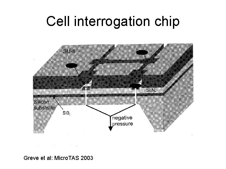 Cell interrogation chip Greve et al: Micro. TAS 2003 