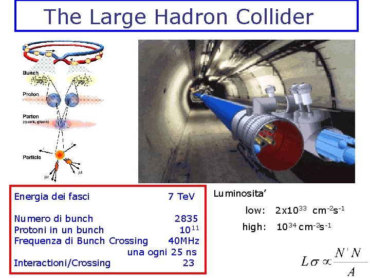 The Large Hadron Collider Energia dei fasci 7 Te. V Numero di bunch 2835