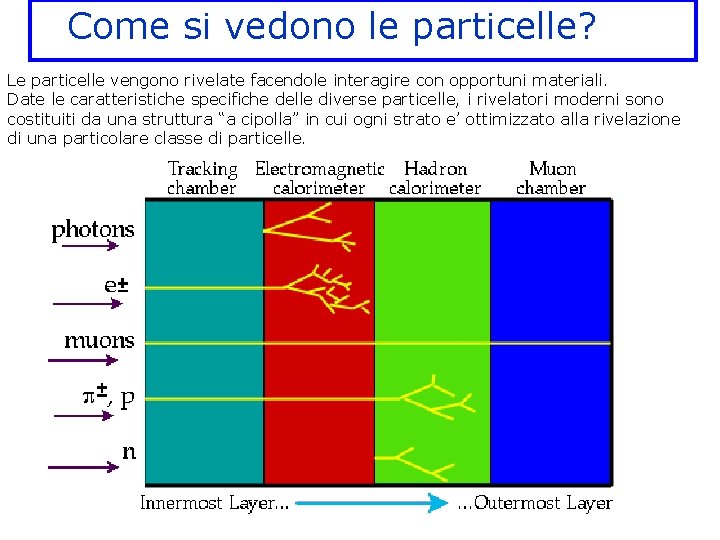 Come si vedono le particelle? Le particelle vengono rivelate facendole interagire con opportuni materiali.