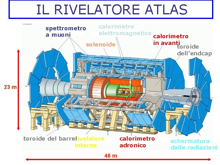 IL RIVELATORE ATLAS spettrometro a muoni calorimetro elettromagnetico solenoide calorimetro in avanti toroide dell’endcap