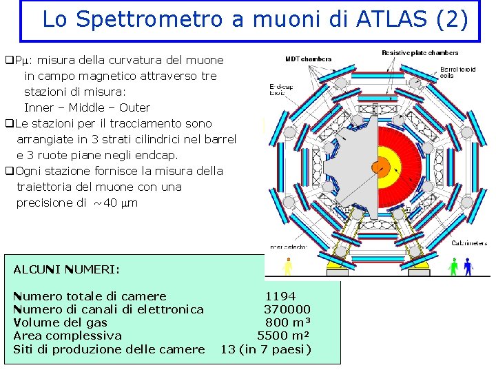 Lo Spettrometro a muoni di ATLAS (2) q. P : misura della curvatura del