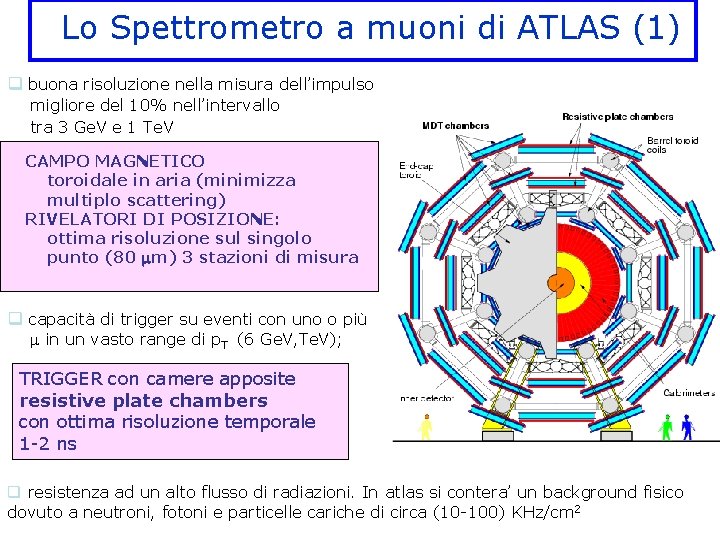 Lo Spettrometro a muoni di ATLAS (1) q buona risoluzione nella misura dell’impulso migliore