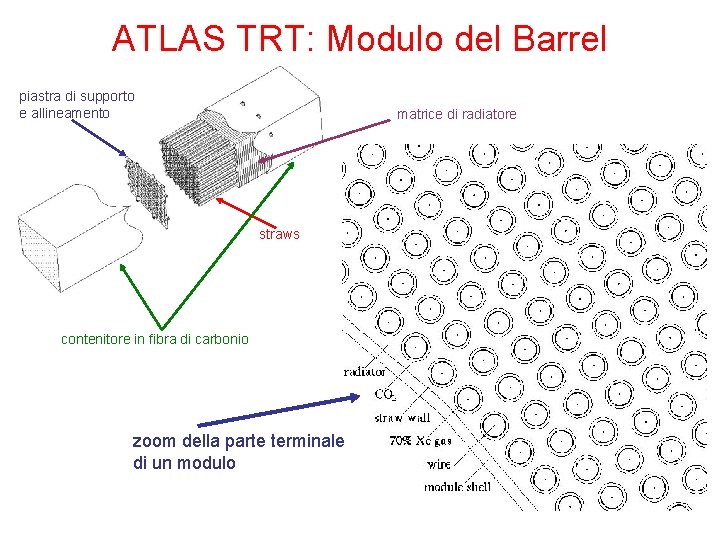 ATLAS TRT: Modulo del Barrel piastra di supporto e allineamento matrice di radiatore straws