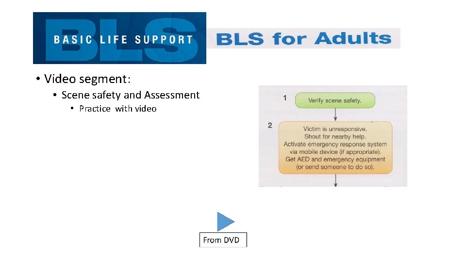  • Video segment: • Scene safety and Assessment • Practice with video 
