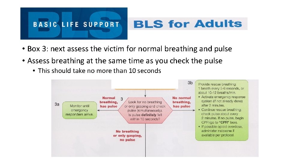  • Box 3: next assess the victim for normal breathing and pulse •