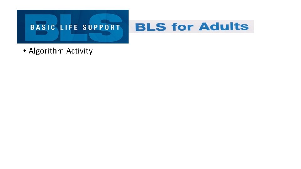  • Algorithm Activity 