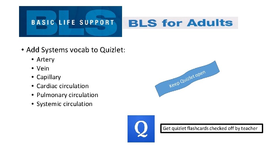  • Add Systems vocab to Quizlet: • • • Artery Vein Capillary Cardiac