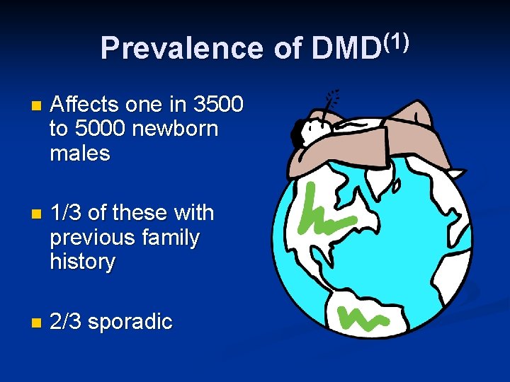 Prevalence of DMD(1) n Affects one in 3500 to 5000 newborn males n 1/3